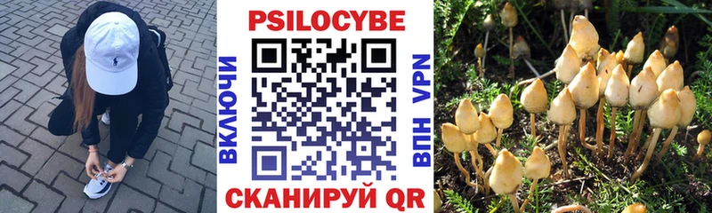 Псилоцибиновые грибы MAGIC MUSHROOMS  Змеиногорск 